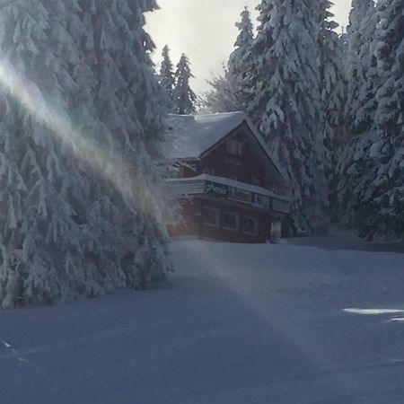 Auerhahn Hotell Feldberg  Eksteriør bilde