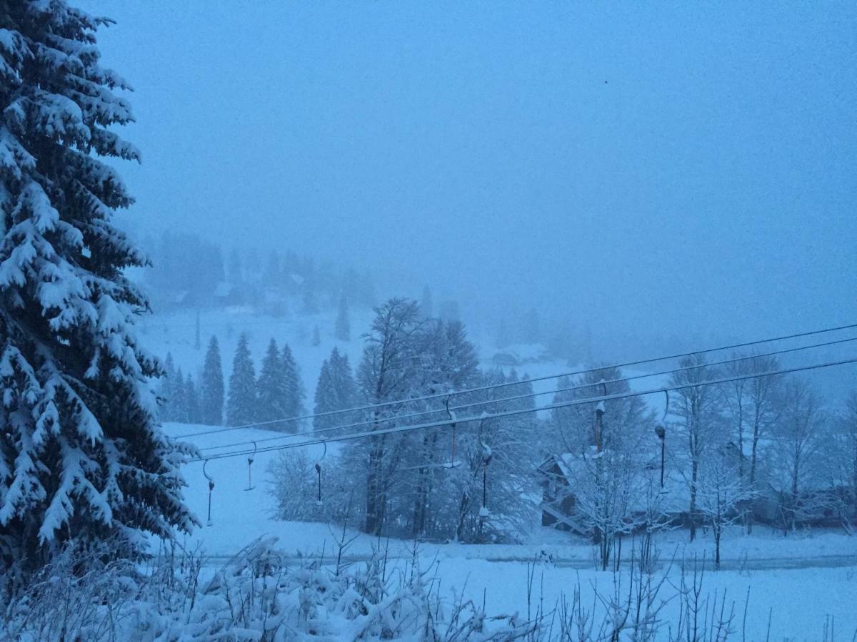 Auerhahn Hotell Feldberg  Eksteriør bilde