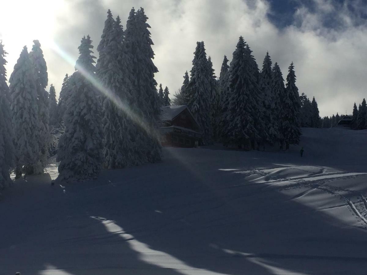 Auerhahn Hotell Feldberg  Eksteriør bilde