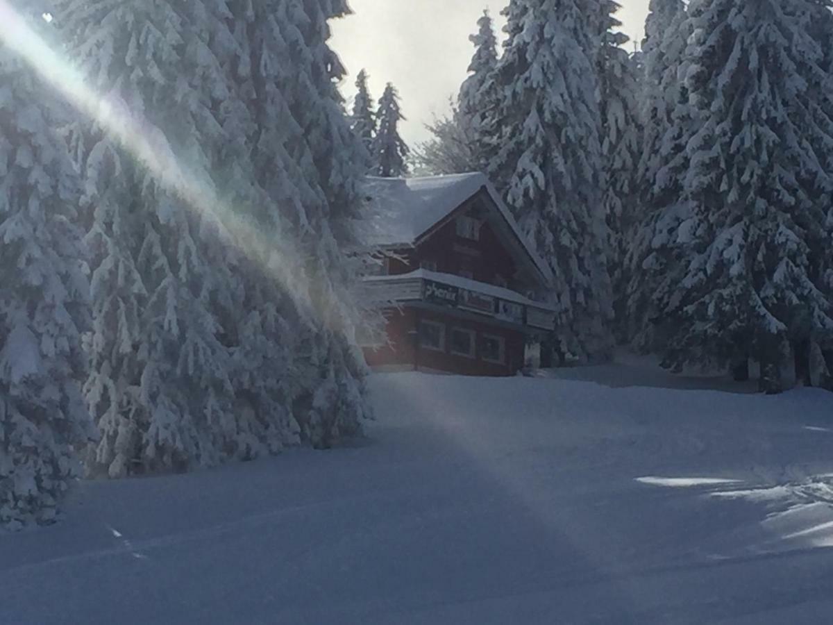 Auerhahn Hotell Feldberg  Eksteriør bilde