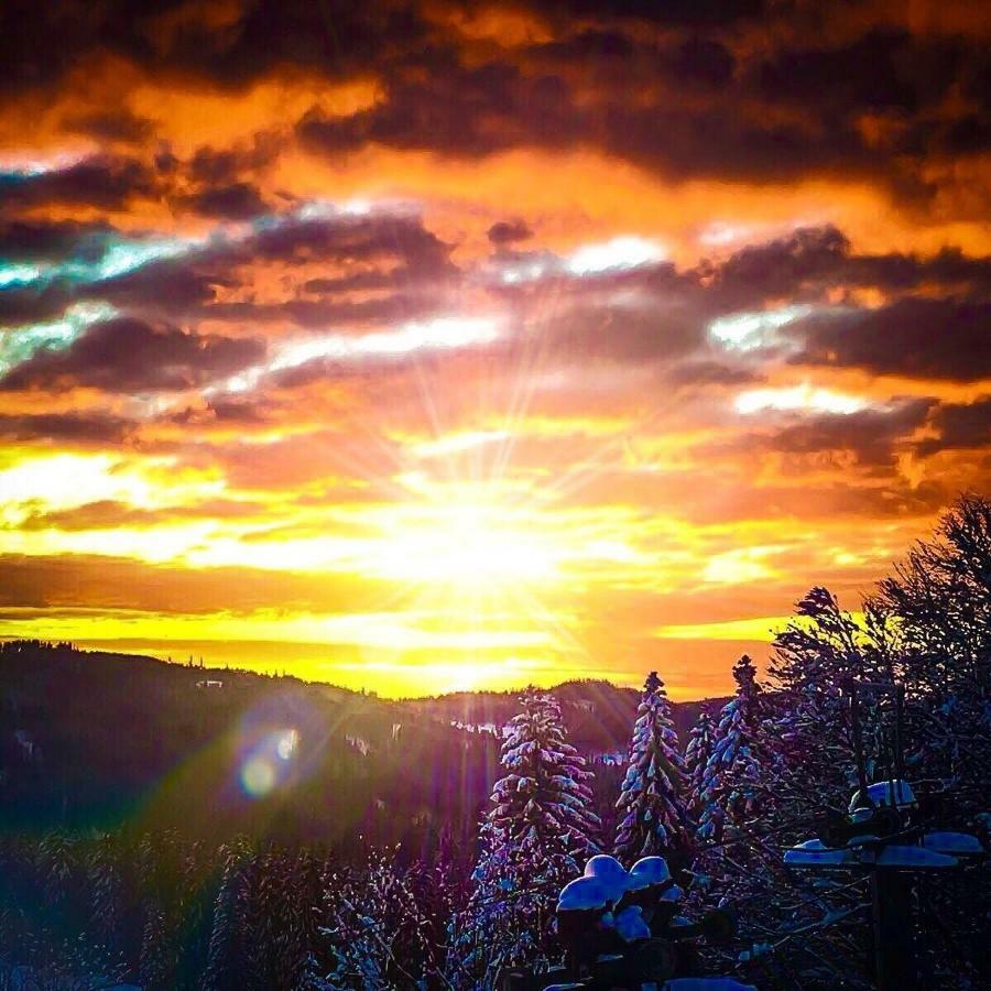 Auerhahn Hotell Feldberg  Eksteriør bilde